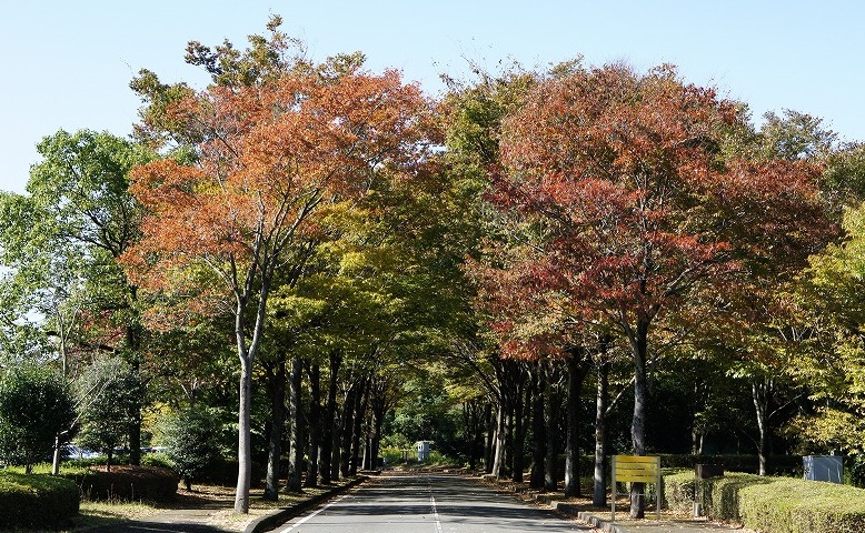 秋の風景